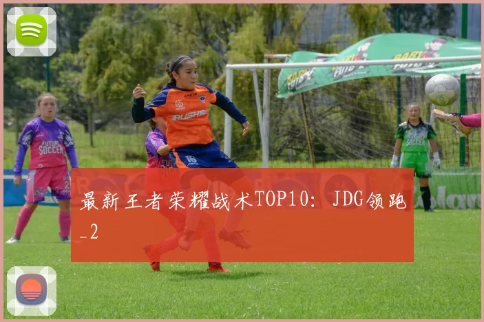 最新王者荣耀战术TOP10：JDG领跑_2