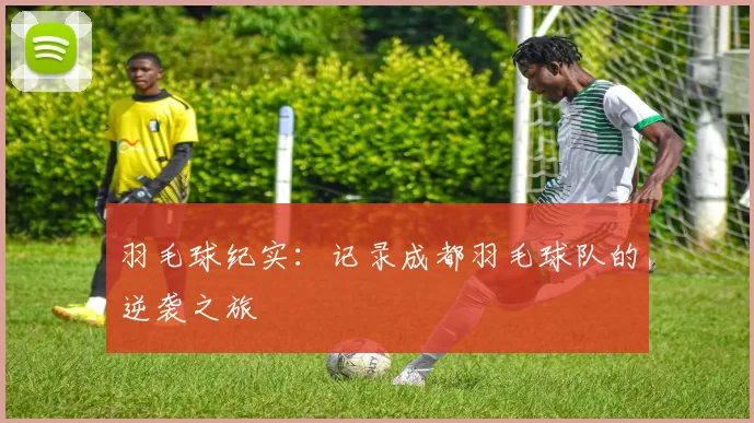 羽毛球纪实：记录成都羽毛球队的逆袭之旅