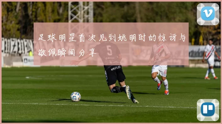 足球明星首次见到姚明时的惊讶与敬佩瞬间分享