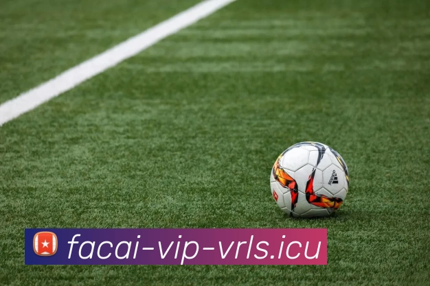 MK体育服务体系